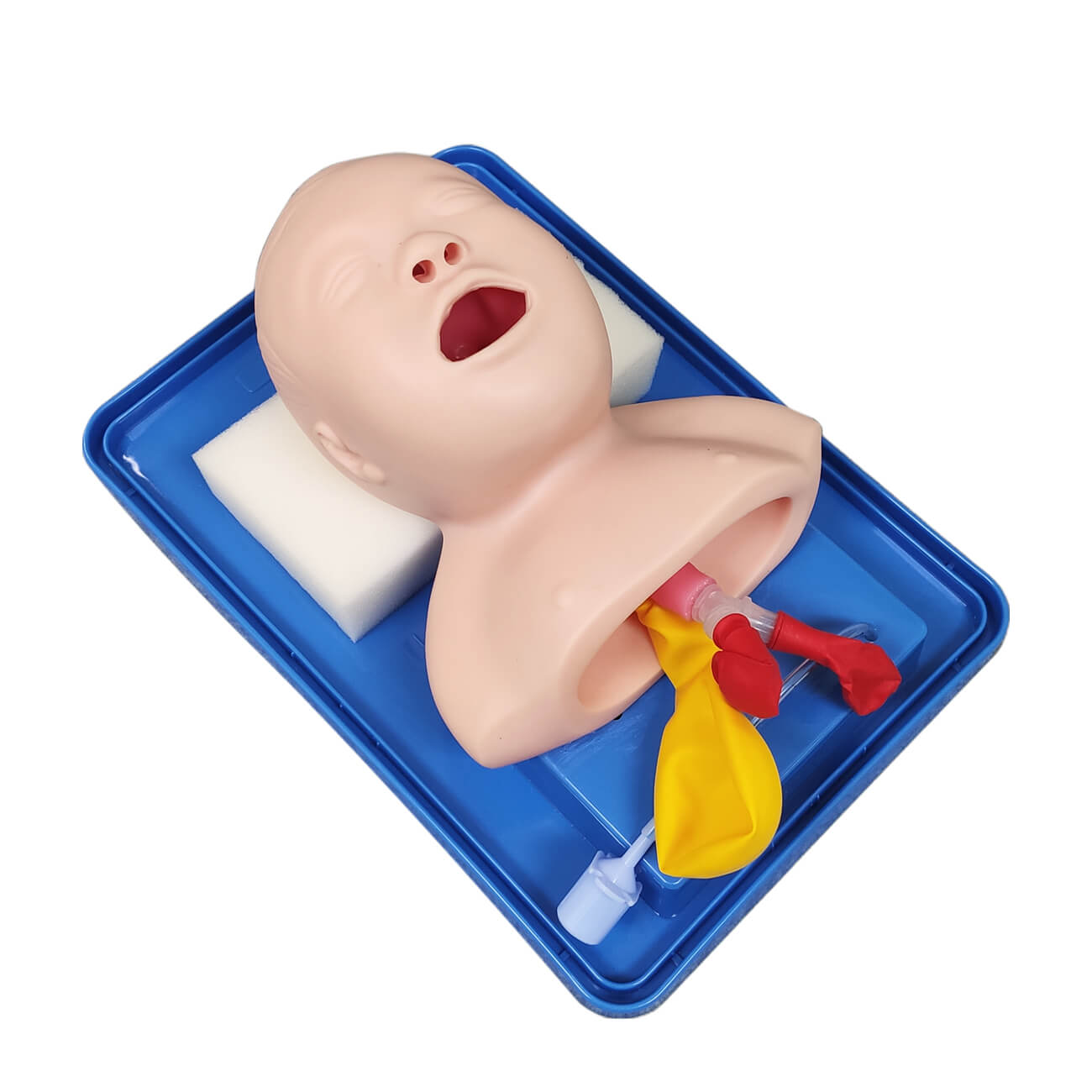 Infant Intubation Trainer - Pediatric Airway Management Manikin