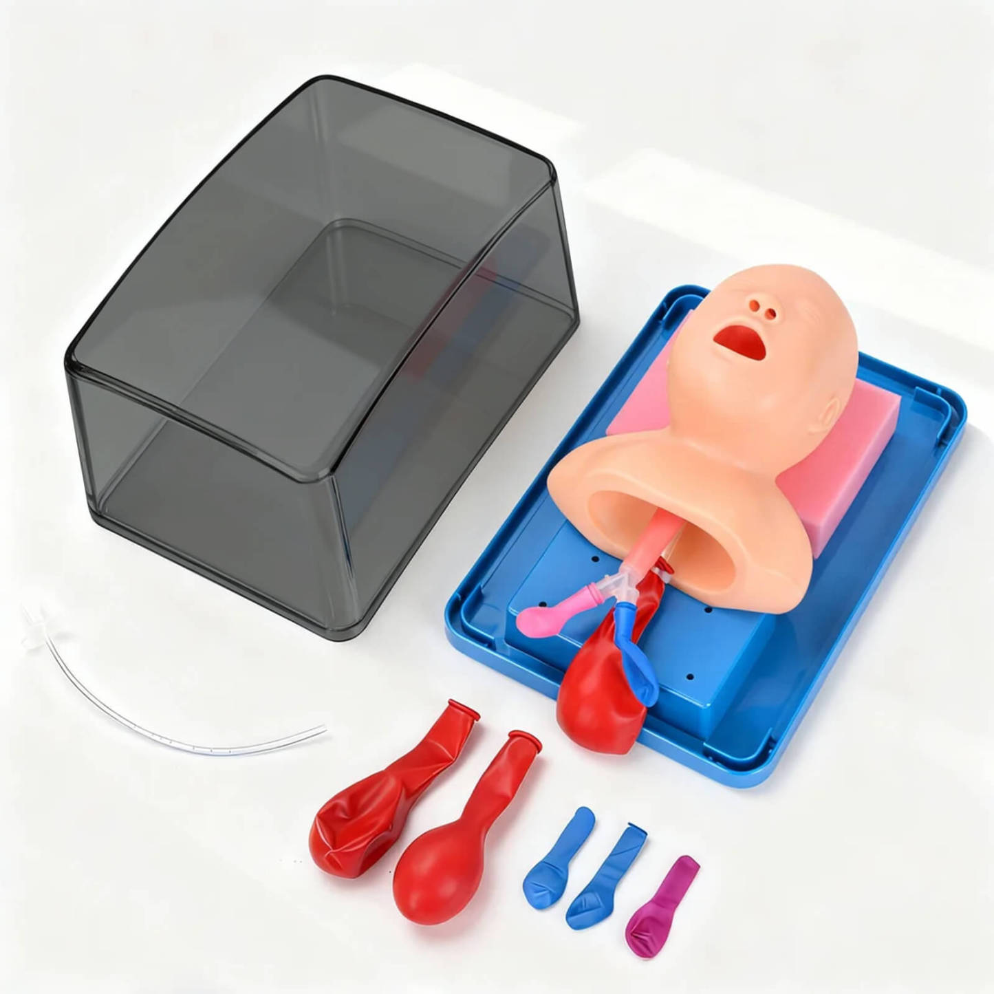 Ultrassist Infant Intubation Trainer