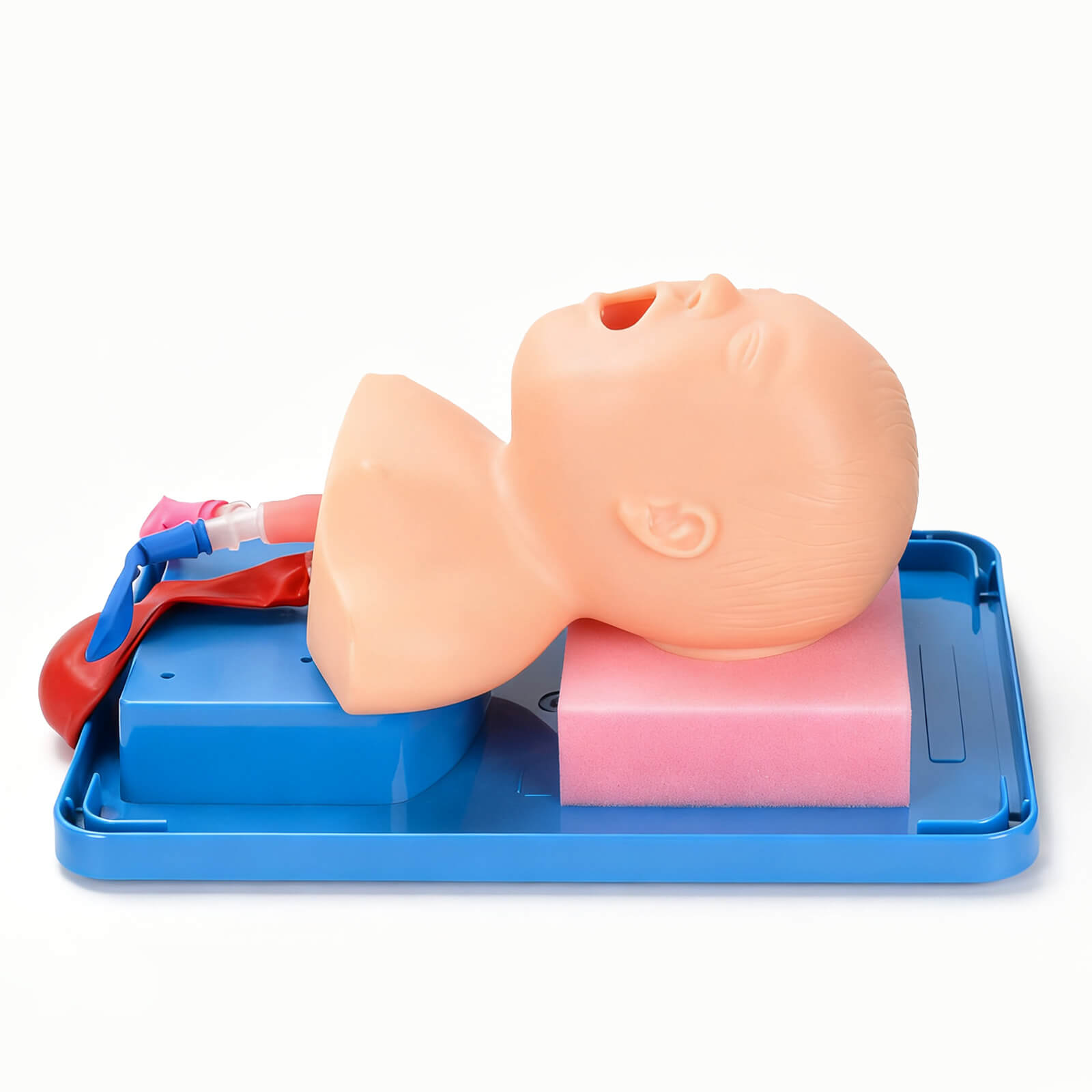 Infant Intubation Trainer