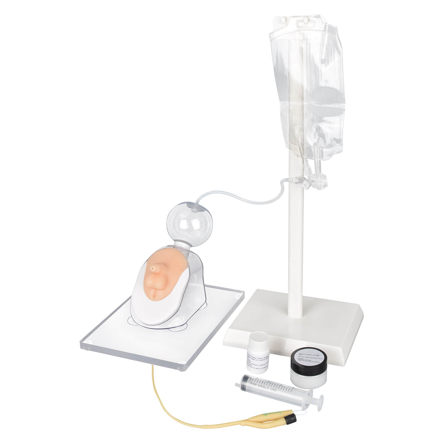 Infant Male Urinary Catheterization Model