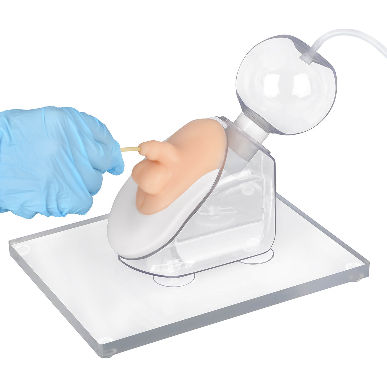 Infant male model for urinary catheter insertion practice