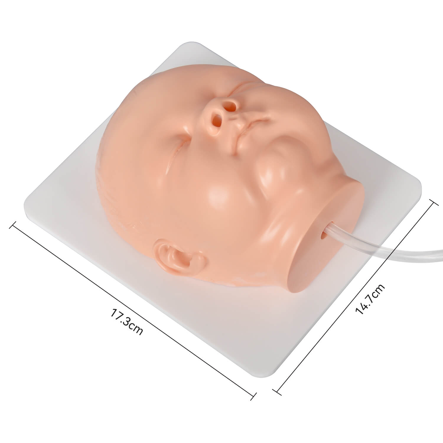 Nasogastric Tube Insertion Trainer