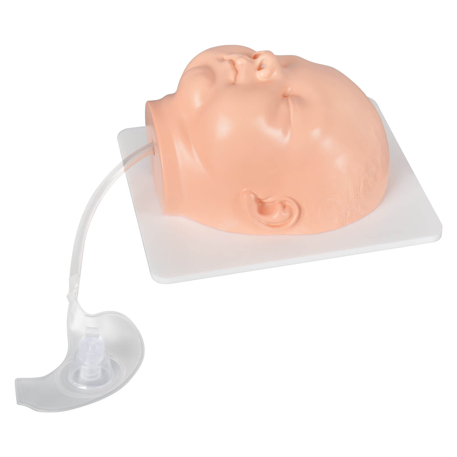Nasogastric Tube Insertion Trainer
