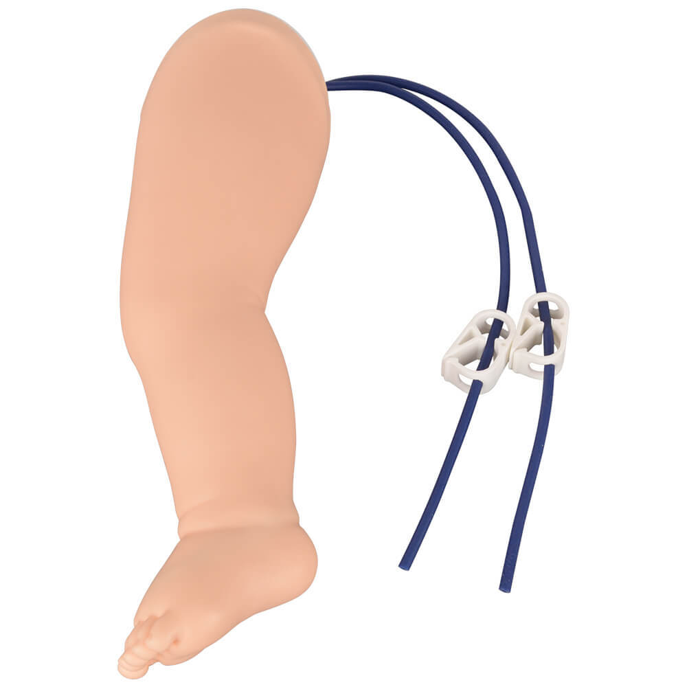 Infant Venipuncture Leg for IV and Phlebotomy Cannulation Practice