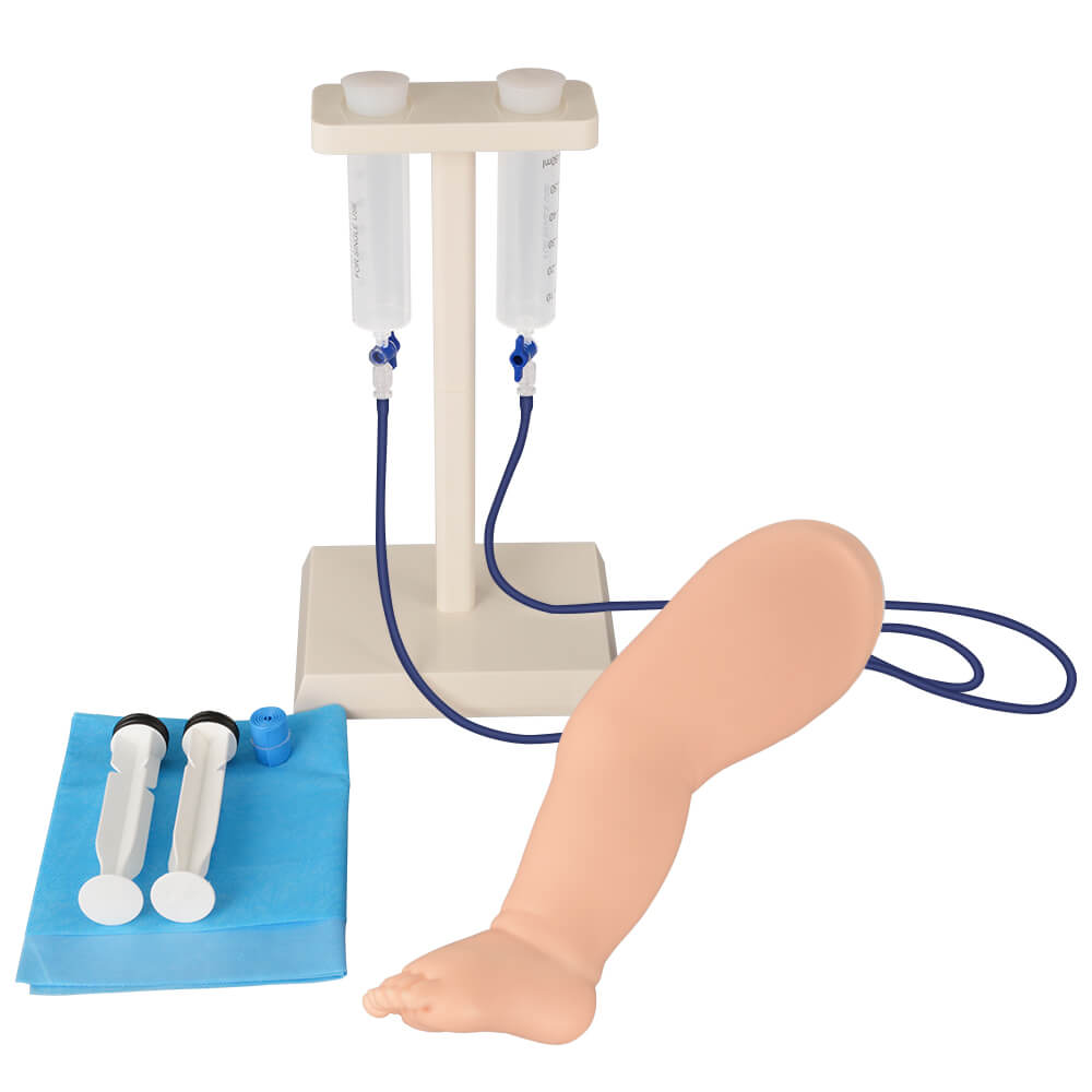 Infant Venipuncture Leg for IV and Phlebotomy Cannulation Practice