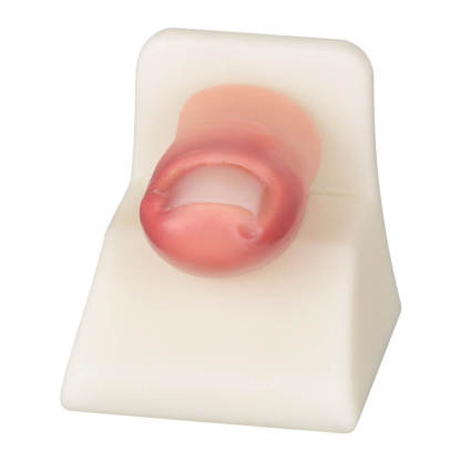 Ingrown Toenail Removal Trainer Model for Nail Avulsion Practice