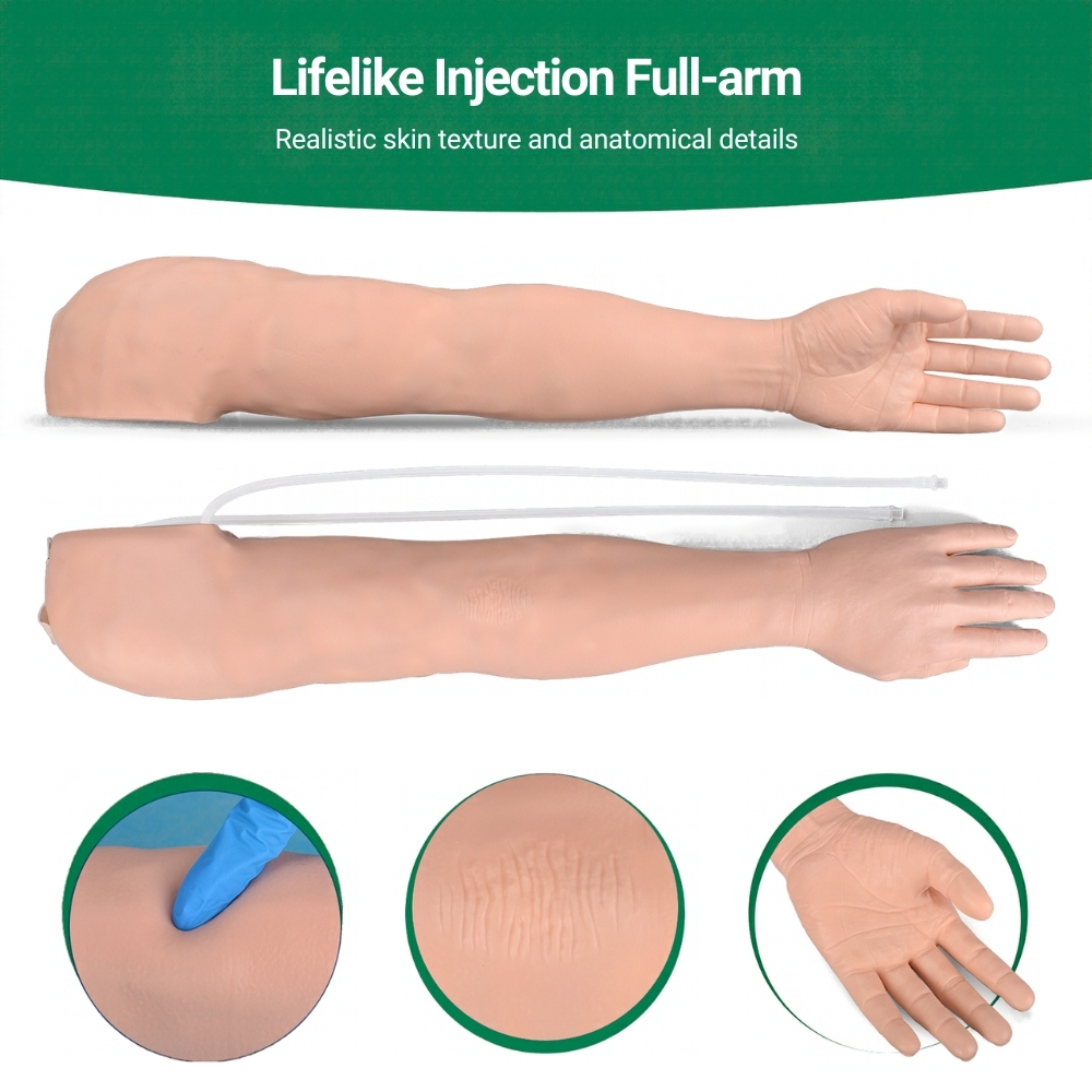 Full-arm training model for IM and IV injection practice