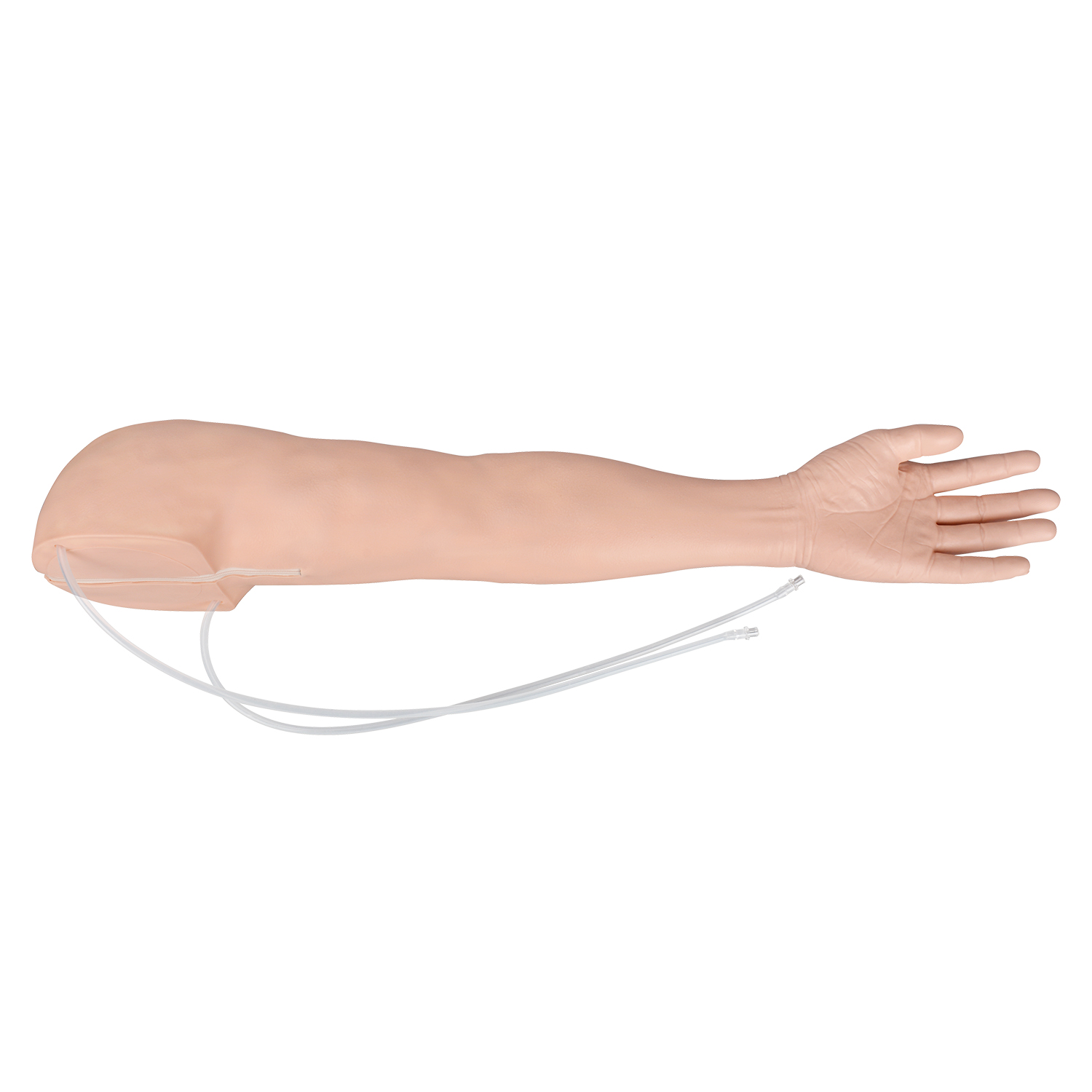  Injection & Phlebotomy Practice Arm