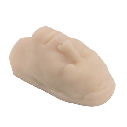 Ultrassist Male Facial Injection Mannequin