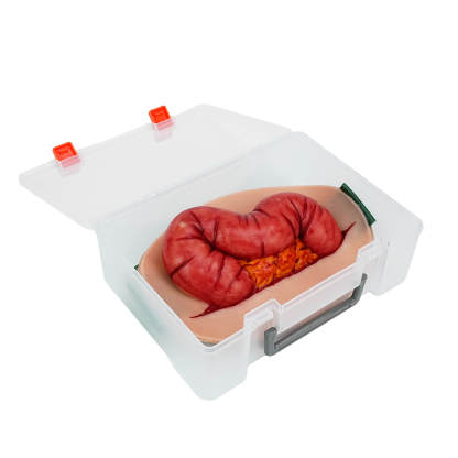 Wearable Abdominal Evisceration Intestinal Wound Simulator Easy to Carry