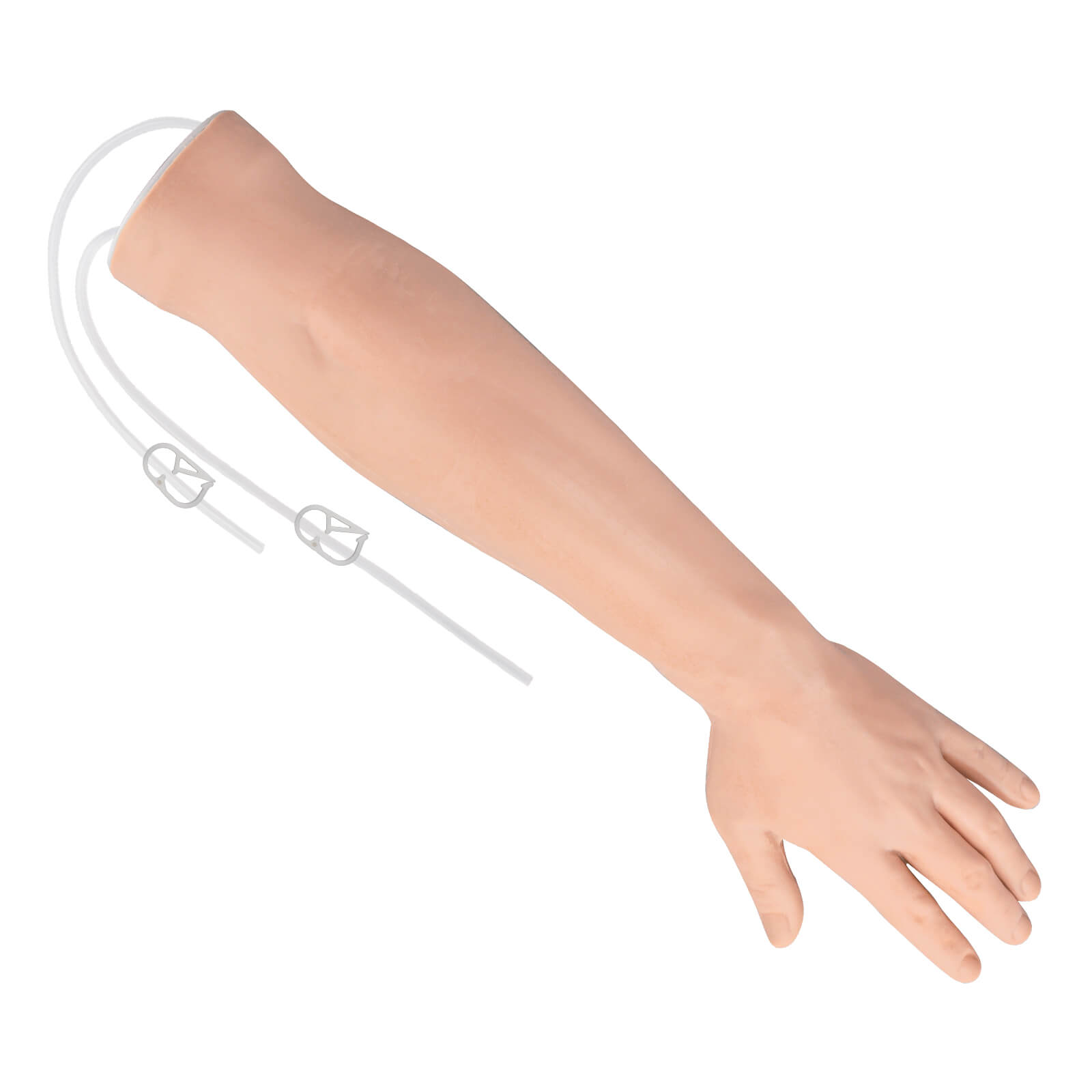 Intravenous (IV) Injection Training Arm, Light & Dark Skin