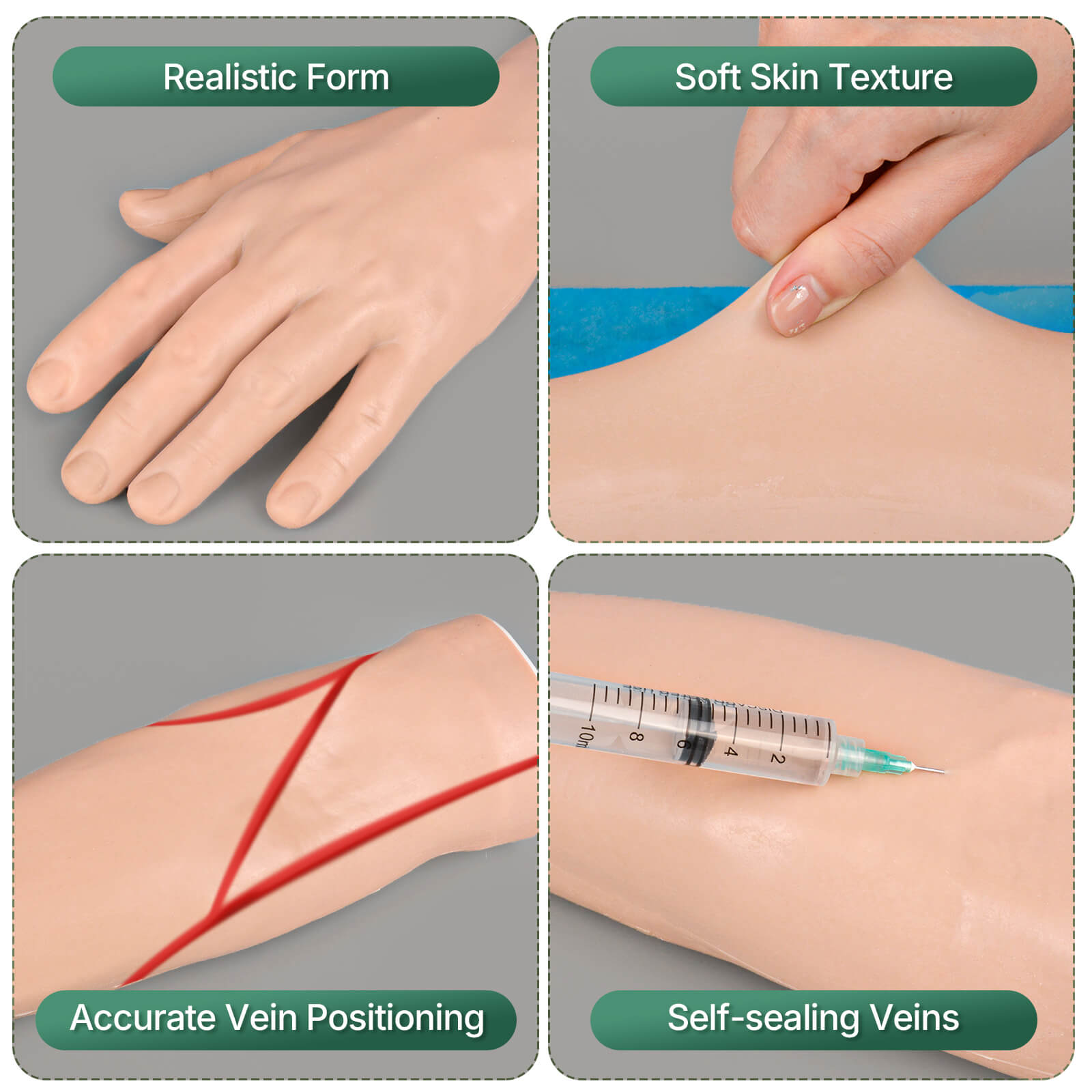 Intravenous (IV) Injection Training Arm, Light & Dark Skin
