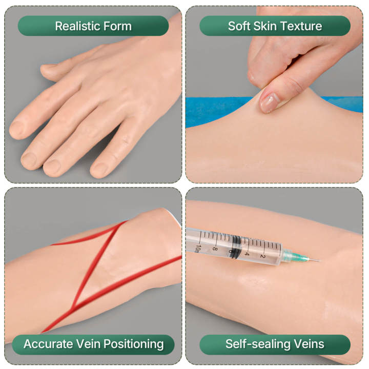 Common Venipuncture Sites on the Arm and Hand for Blood Draw – Ultrassist