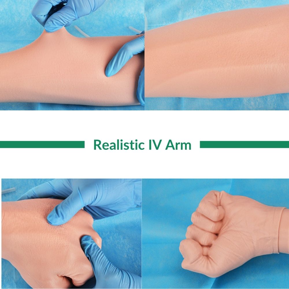 IV and phlebotomy arm with replaceable skin and veins
