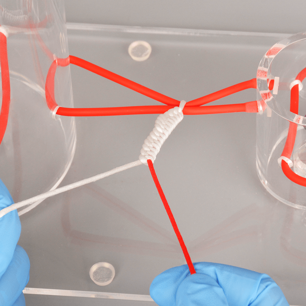Ultrassist Surgical Knot Tying Trainer
