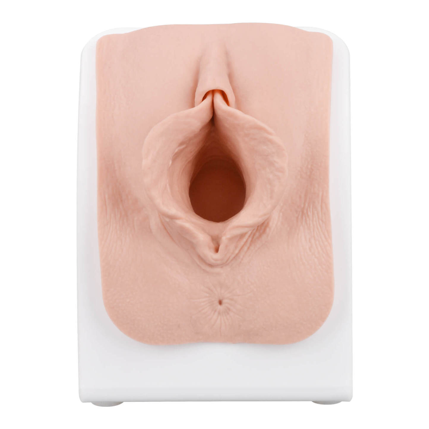 Labiaplasty Training Model for Surgical Labia Repair