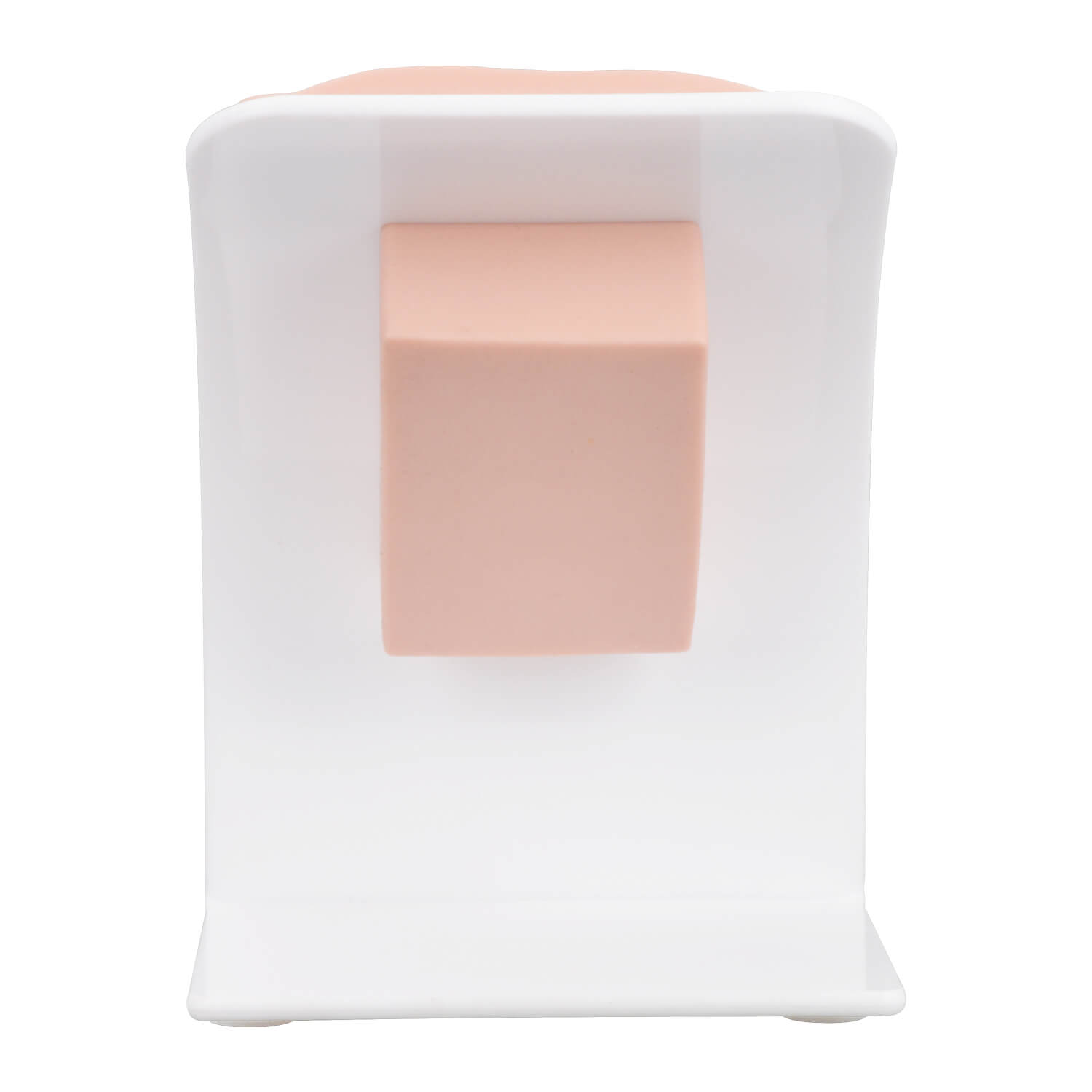 labia repair surgical training model with base
