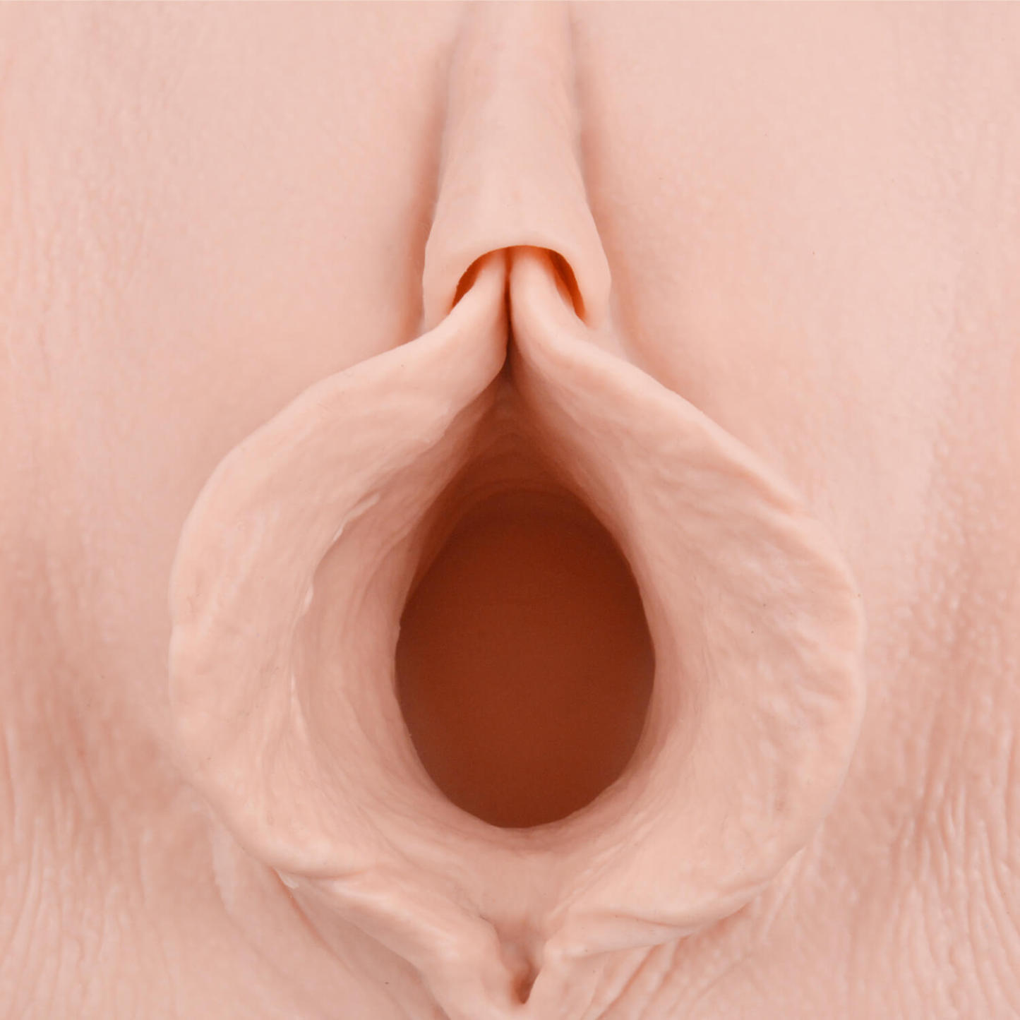 Realistic Labiaplasty Training Model for aesthetic gynecology training