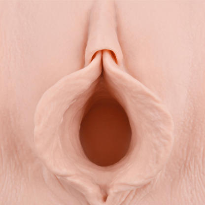 Realistic Labiaplasty Training Model for aesthetic gynecology training