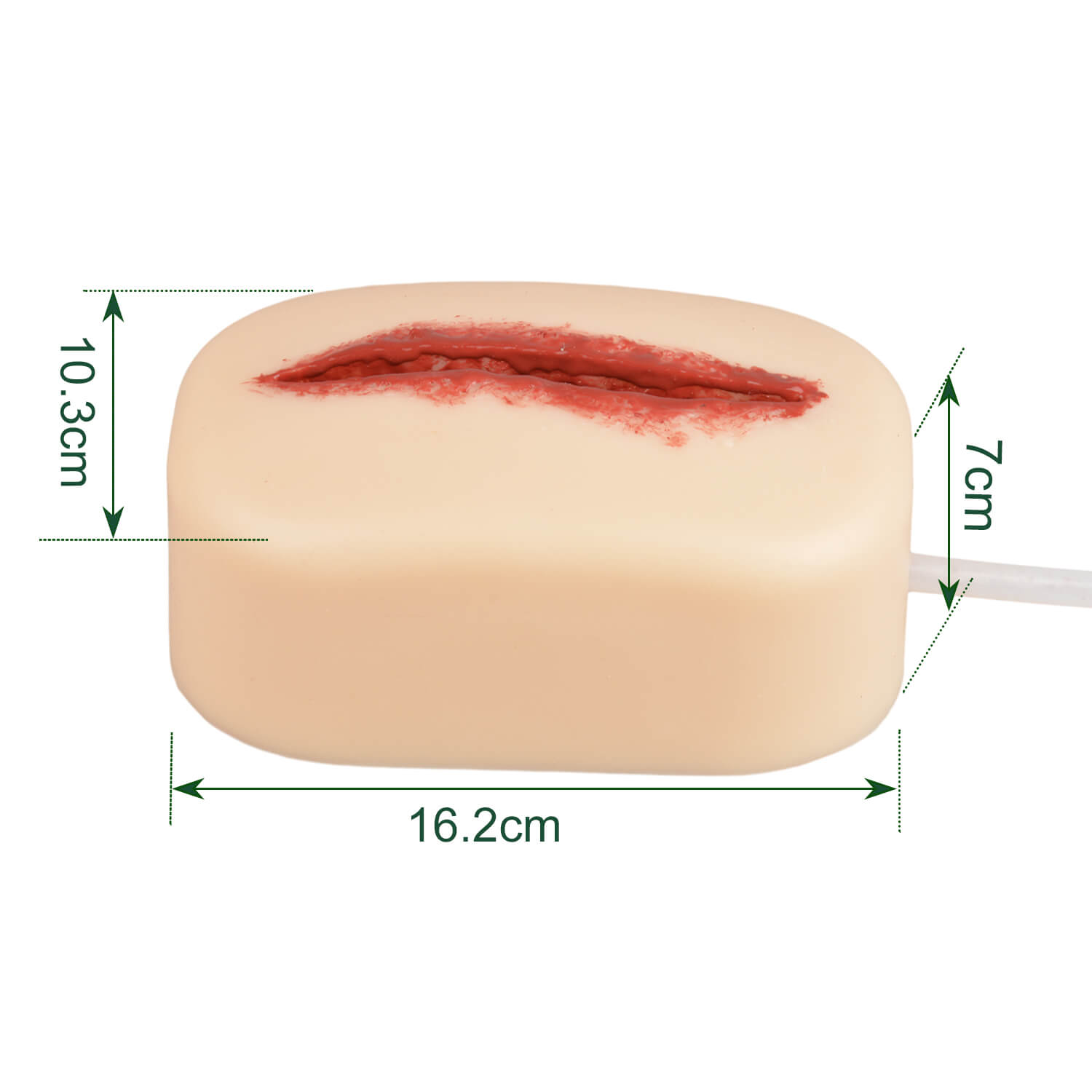 Ultrassist Hemorrhage Control Trainer Size