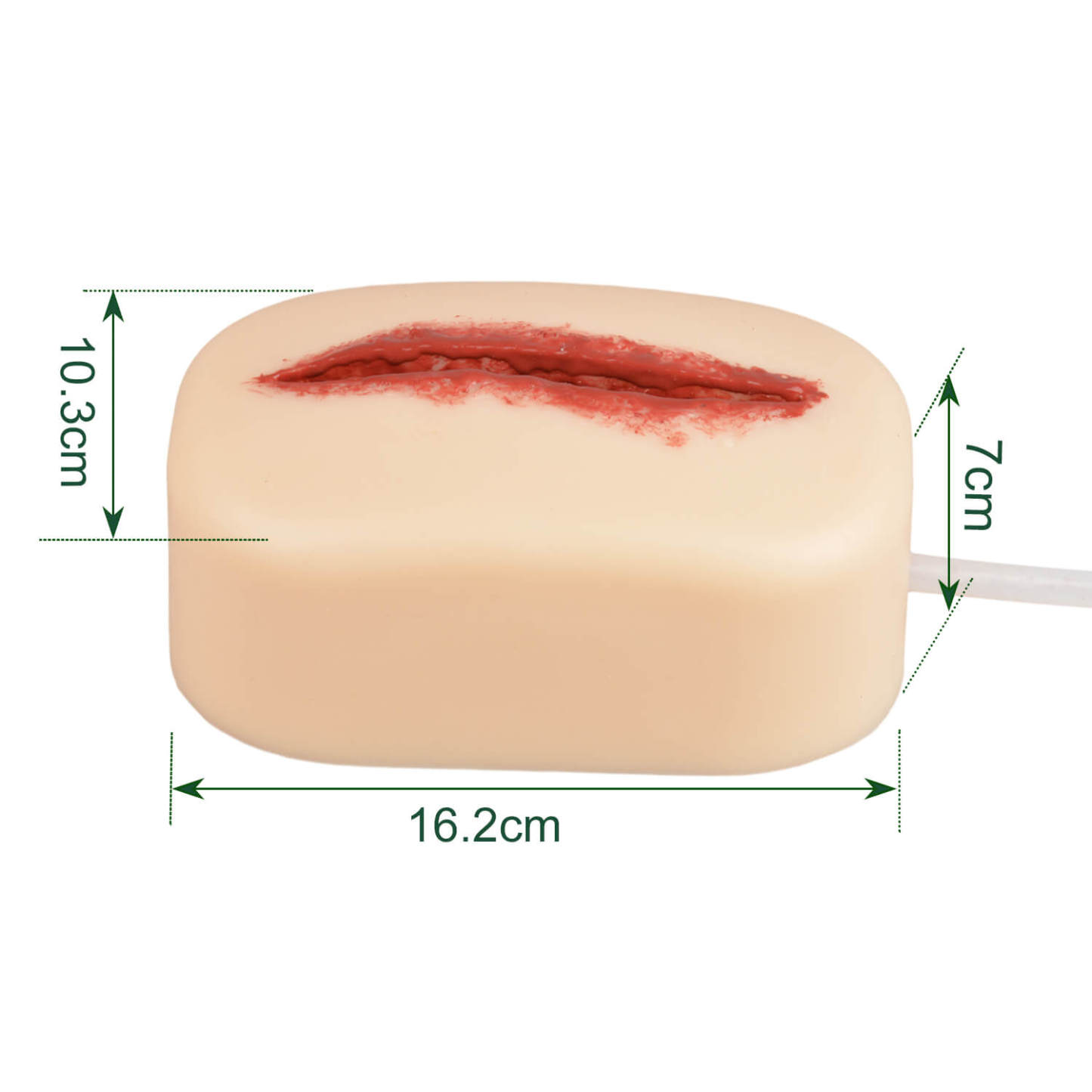 Ultrassist Hemorrhage Control Trainer Size