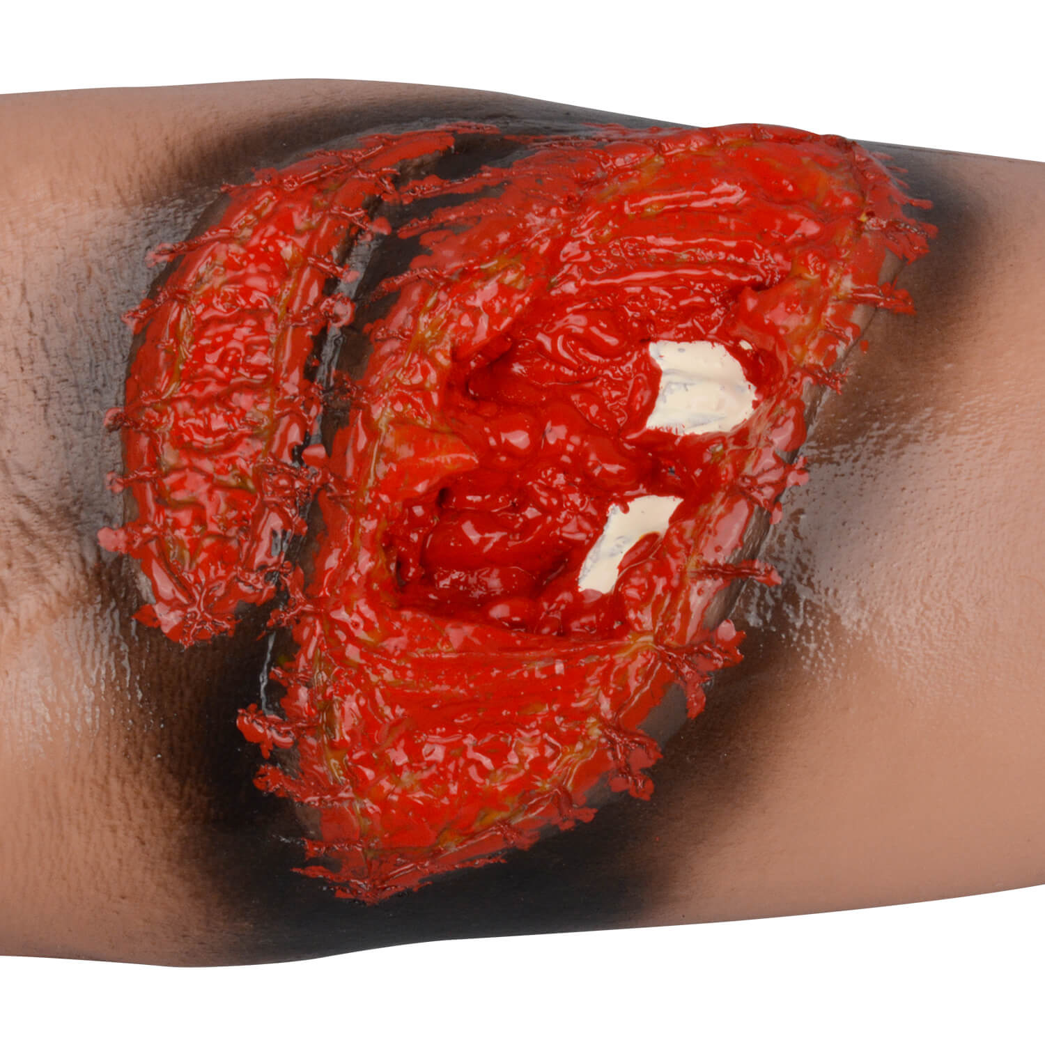 Laceration Wound Packing Arm Trainer with Fracture