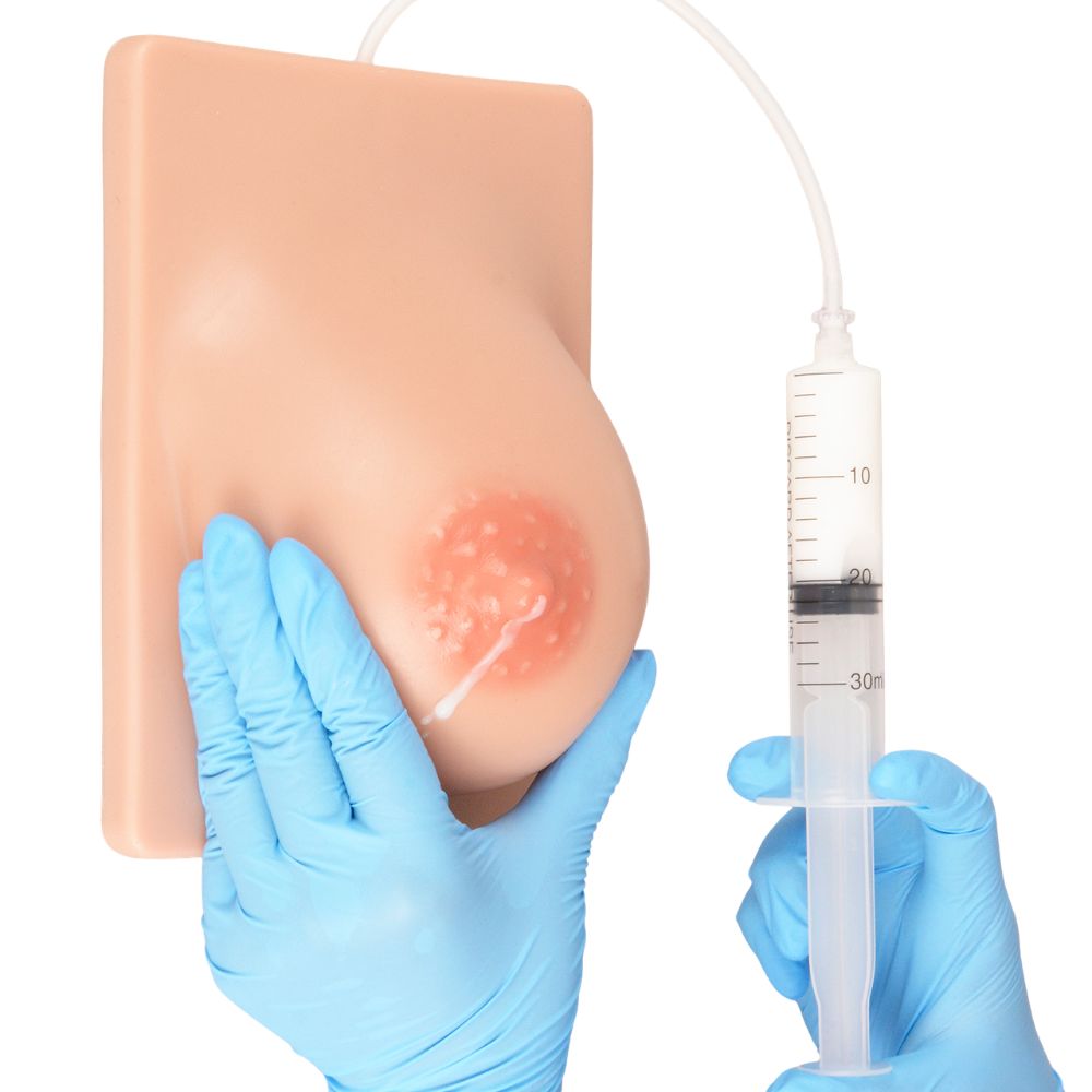 Bilateral Lactating Breast Model for Milk Expression Training