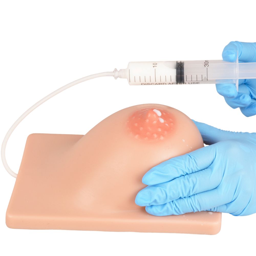 Lactating Breast Model for manual expression practice
