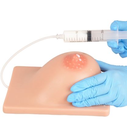 Lactating Breast Model for manual expression practice
