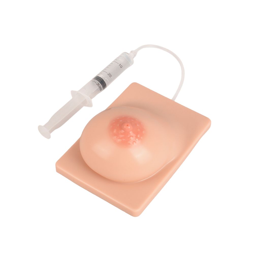 Left Lactating Breast Model for Lactation Consultant & Nursing Education