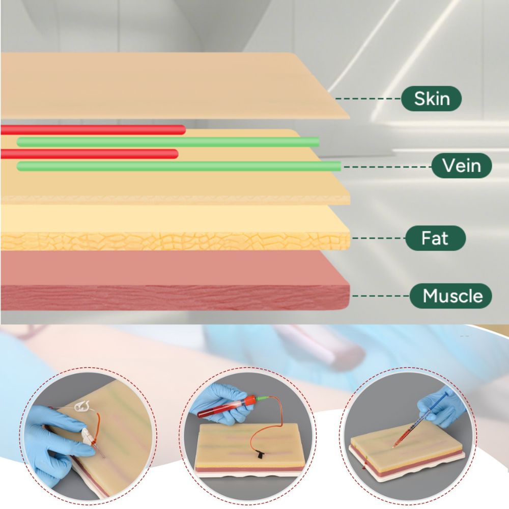 Large IV Injection Trainer with 4 Imbedded Veins