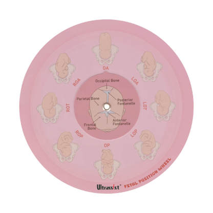 Midwife Fetal Position Tool - Cephalic & Breech