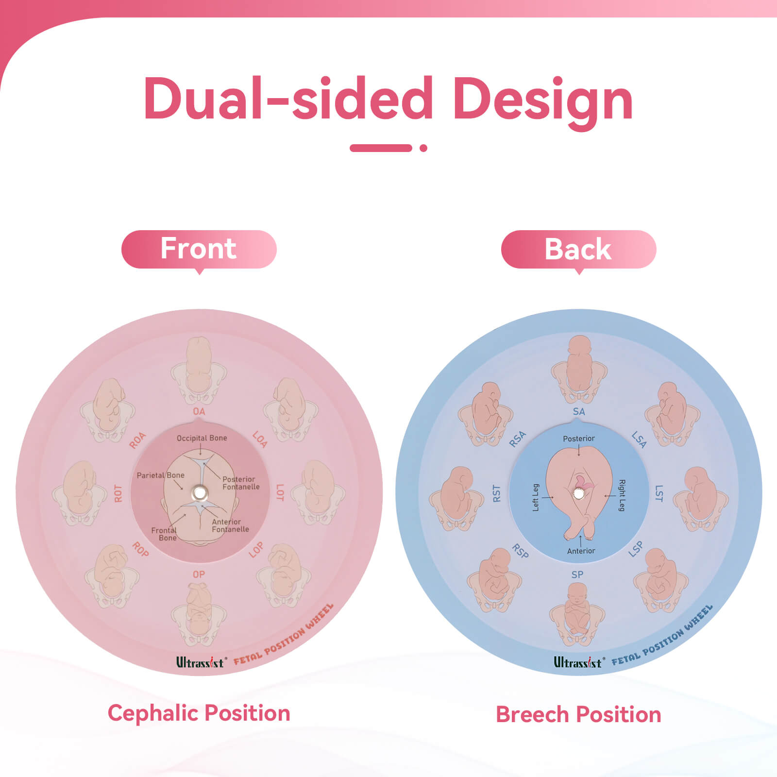 Midwife Fetal Position Tool - Cephalic & Breech