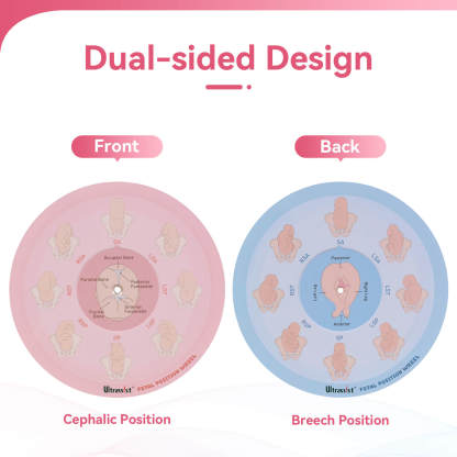 Midwife Fetal Position Tool - Cephalic & Breech