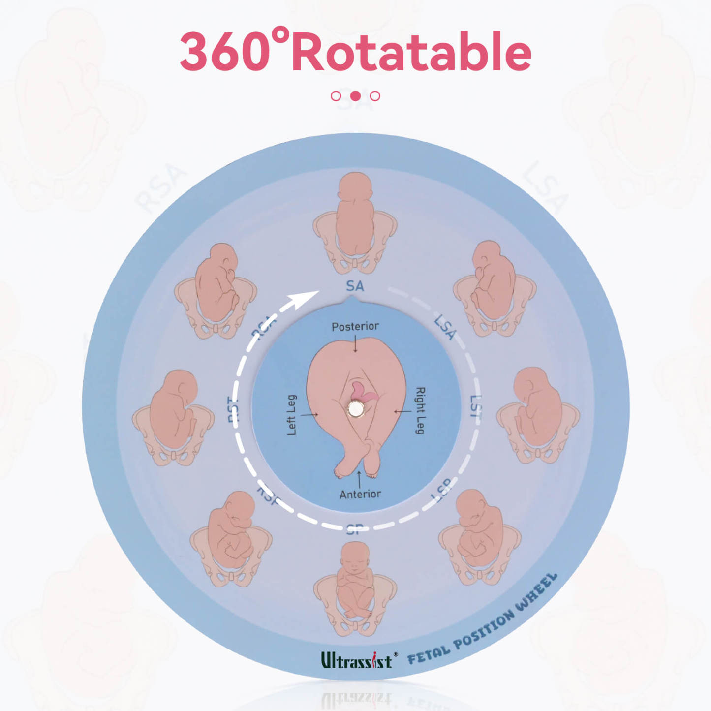 Midwife Fetal Position Tool - Cephalic & Breech