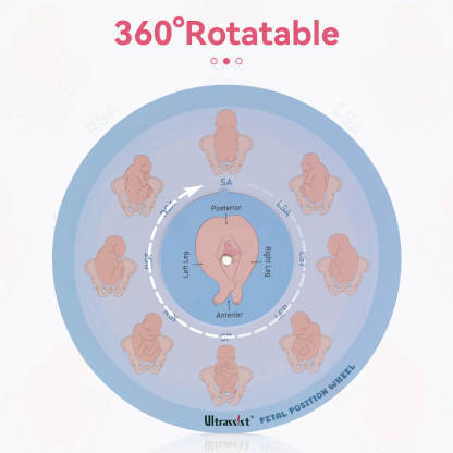 Midwife Fetal Position Tool - Cephalic & Breech
