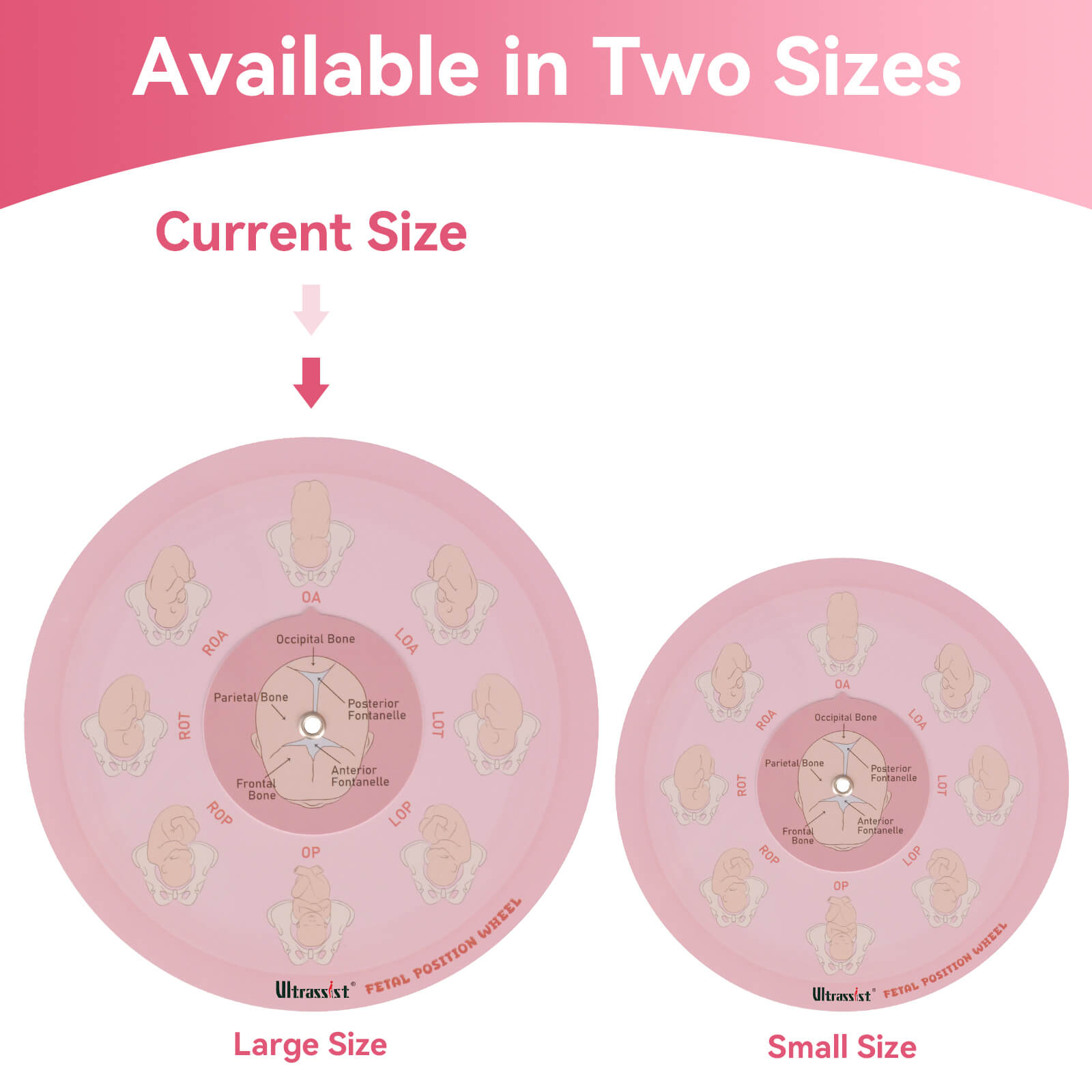 Midwife Fetal Position Tool - Cephalic & Breech