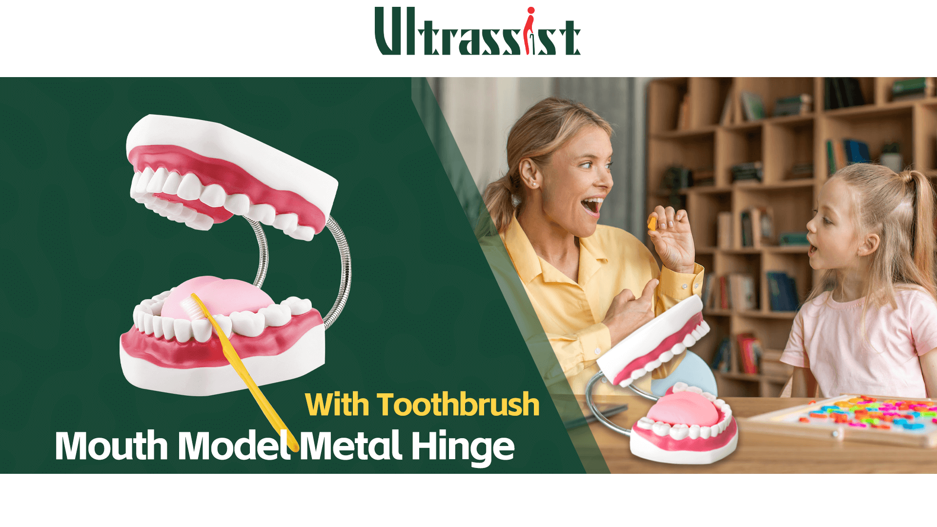 {"default":"Ultrassist Big Mouth Model for Speech Therapy with Moveable Tongue, Toothbrush Demonstration"}

