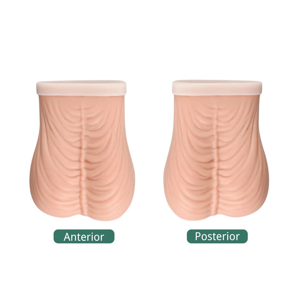 Large Testicular Self Examination(TSE) Model, Beige
