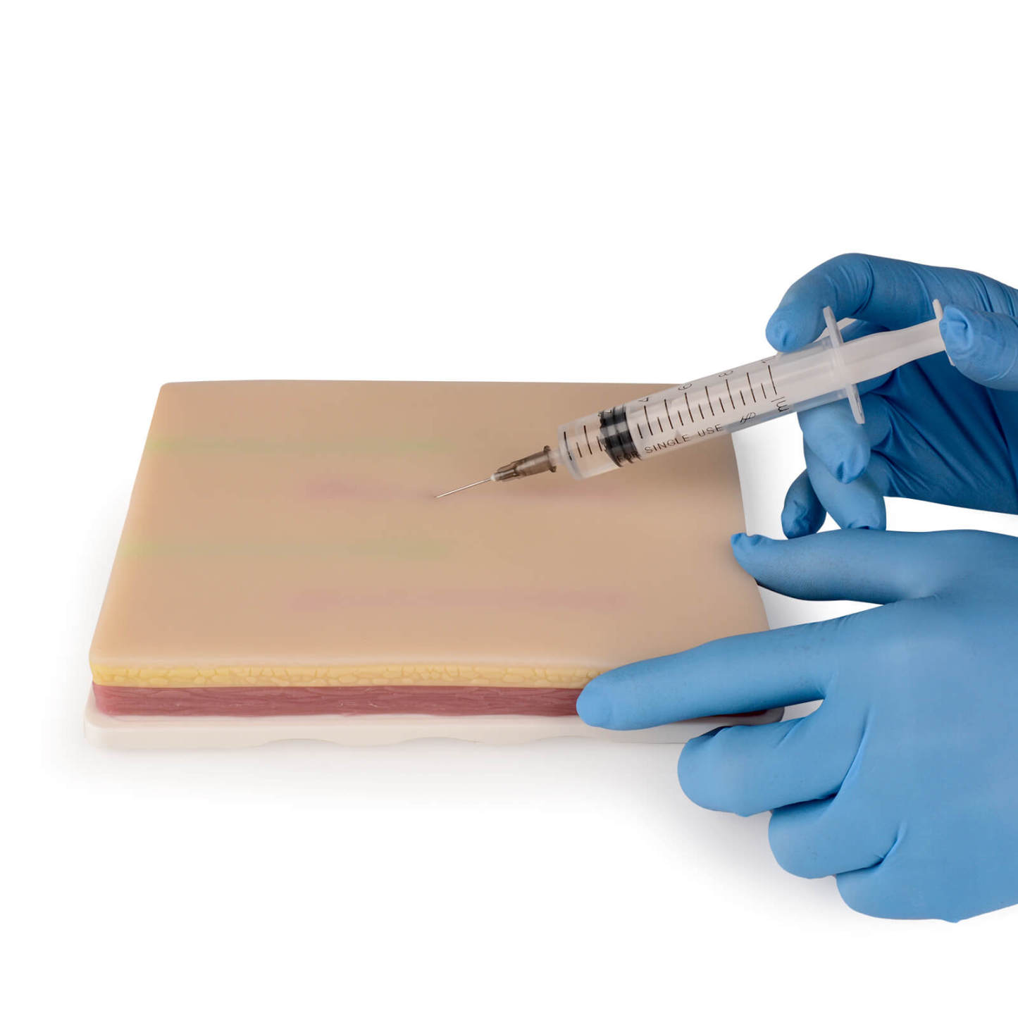 Large IV Injection Trainer with with 4 Imbedded Veins