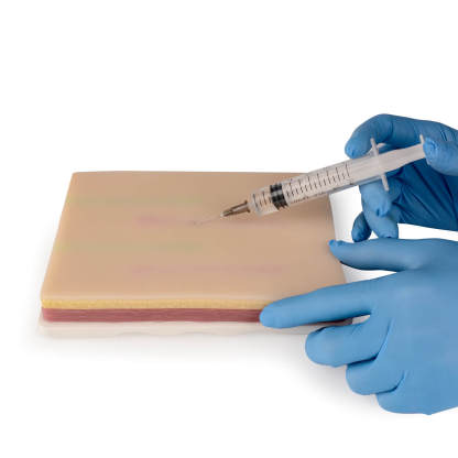 Large IV Injection Trainer with with 4 Imbedded Veins
