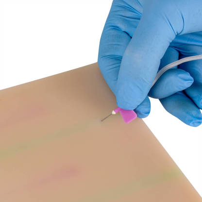 Large IV Injection Trainer with with 4 Imbedded Veins