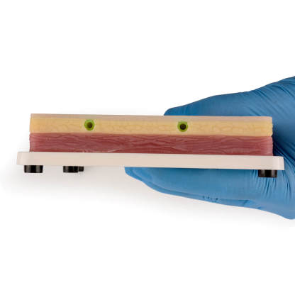 Large IV Injection Trainer with with 4 Imbedded Veins