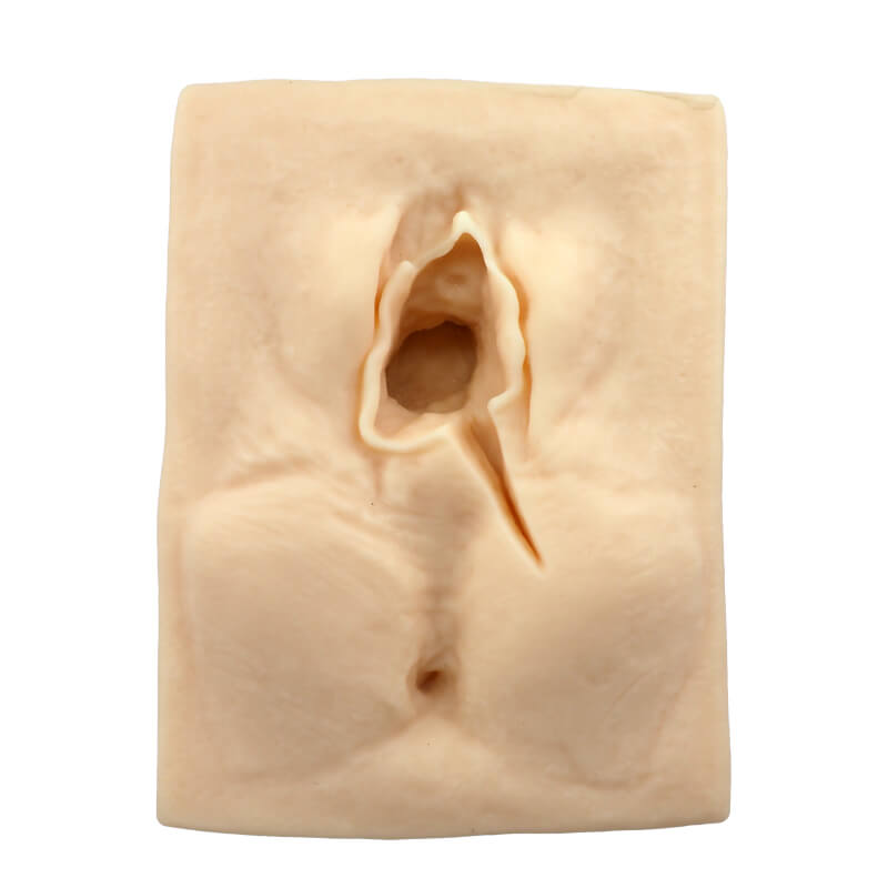 Female Perineal Suture Practice Models, Set of 3