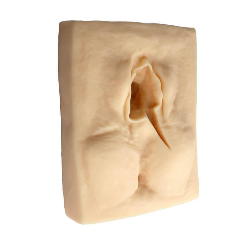Female Perineal Suture Practice Models, Set of 3
