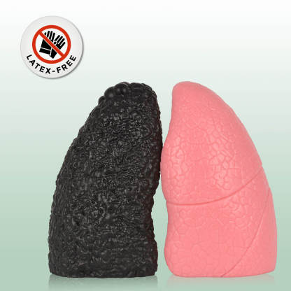 Ultrassist Healthy Lung vs. Smokers Lung Model Set