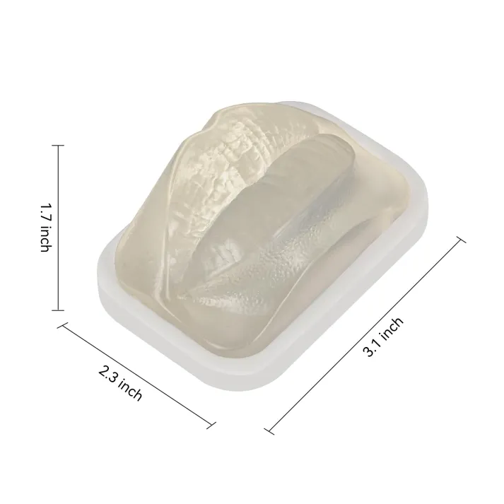 Clear Lip Filler Injection Training Model