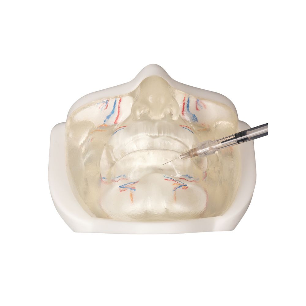 Transparent Lower Facial Injection & Filler Practice Model