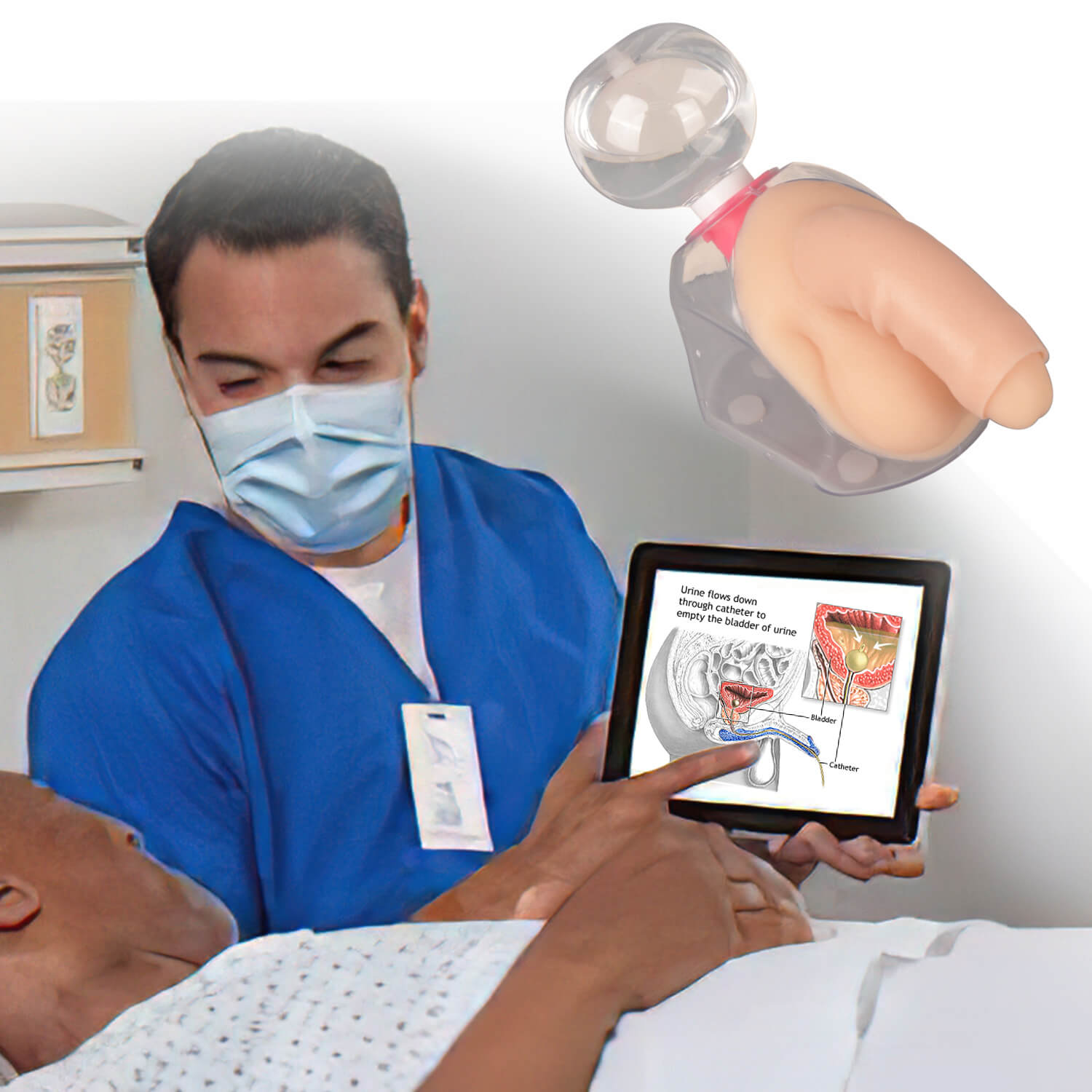 Transparent Male Catheterization Simulator for Medical Training