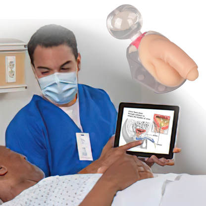 Transparent Male Catheterization Simulator for Medical Training